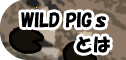 WILD PIGsƂ