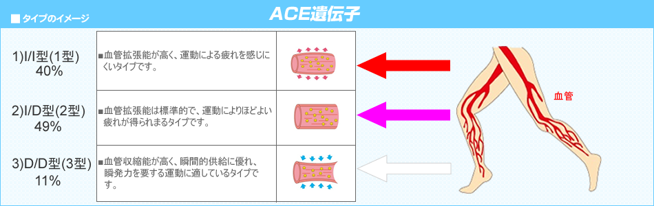 ACE3 `q