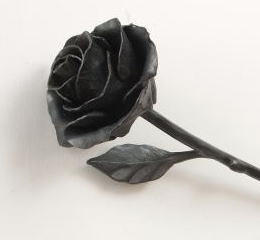 ロートアイアンのバラ