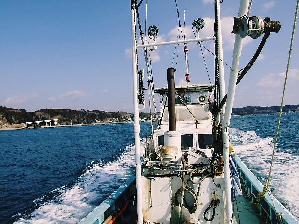 宮城県南三陸志津川民宿あっつ前 レジャー情報 船釣り 磯釣り