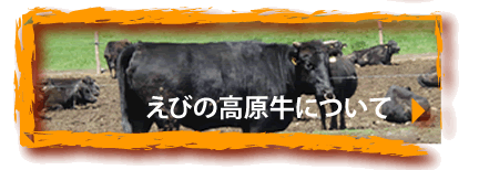 えびの高原牛