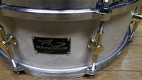 GCg̃XlAhi14Inch CANOPUS SNAREj