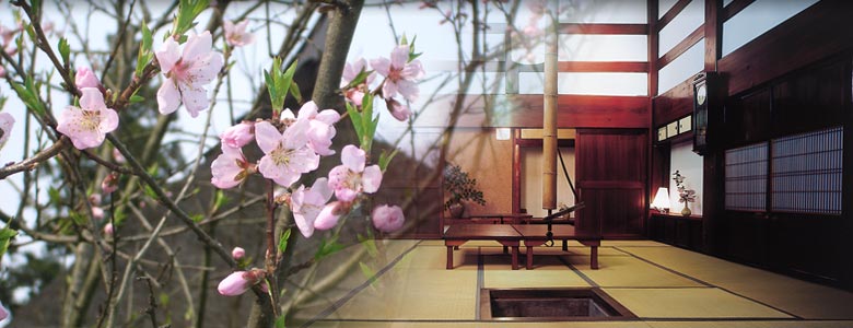 トップイメージ 季節宿國安の桜と室内