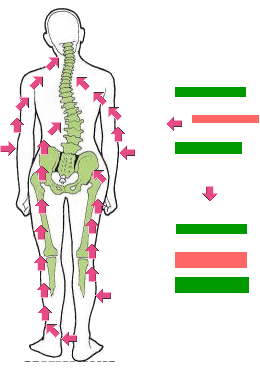 AST･MSTの骨格調整アプローチのイメージ