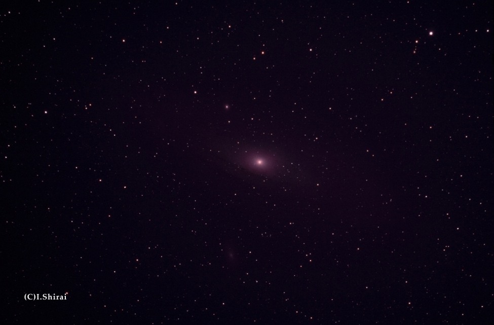 M31