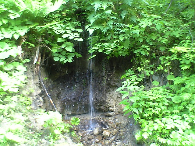 秘密の小滝