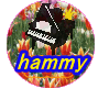 hammy