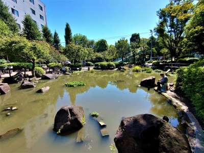 新井薬師公園 ひょうたん池
