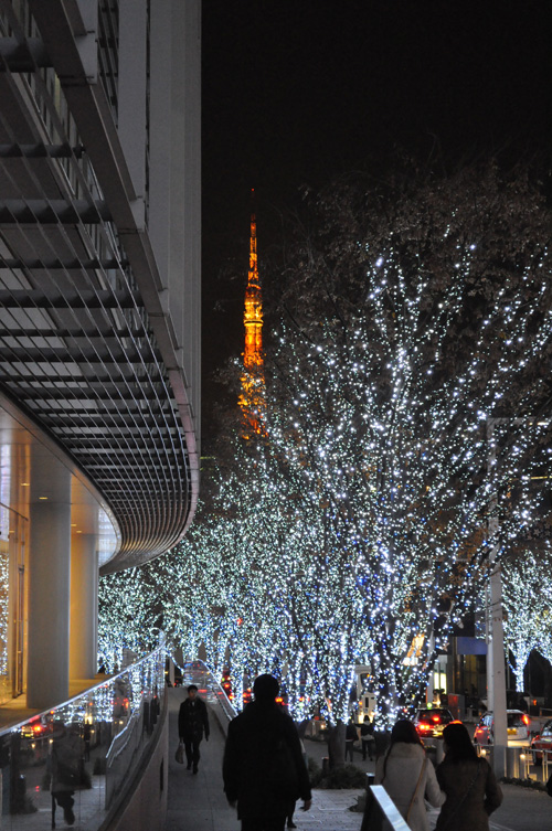 凍えるイルミネーションを従えて、東京タワーは赤く燃えている！ 
